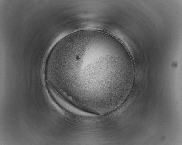 X0000095901235200801111202