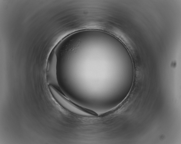 X0000095901236200801111202