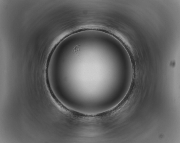 X0000095901237200801111202