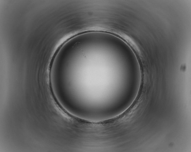 X0000095901238200801111202