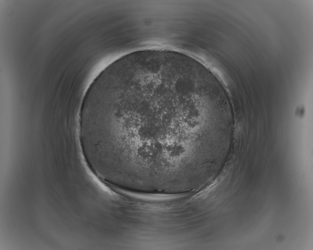 X0000095901239200801111202