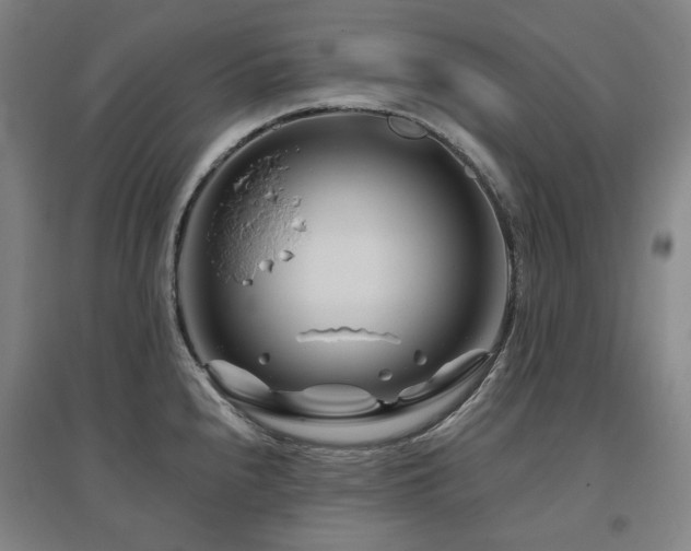 X0000095901240200801111202