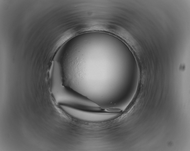 X0000095901241200801111202