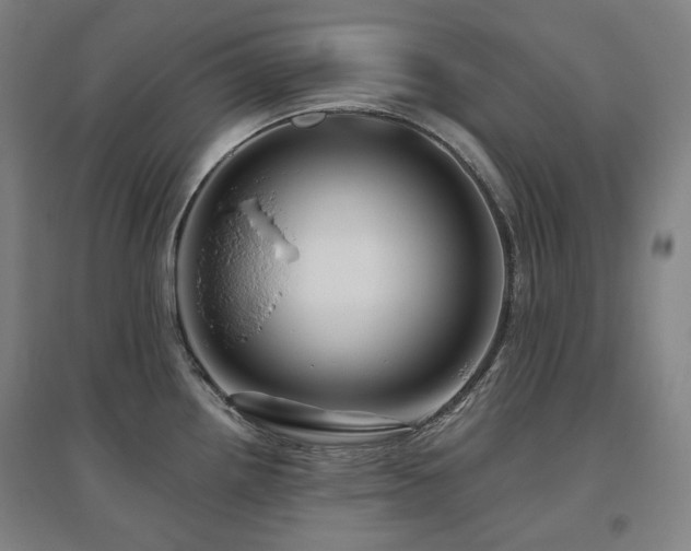 X0000095901242200801111202