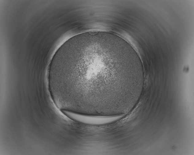 X0000095901243200801111202
