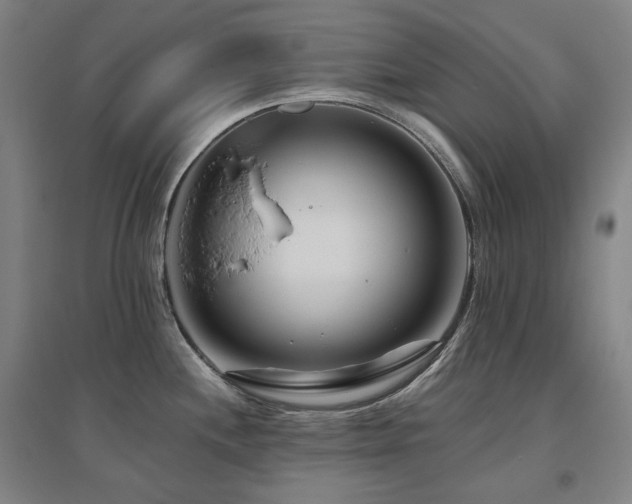 X0000095901244200801111202