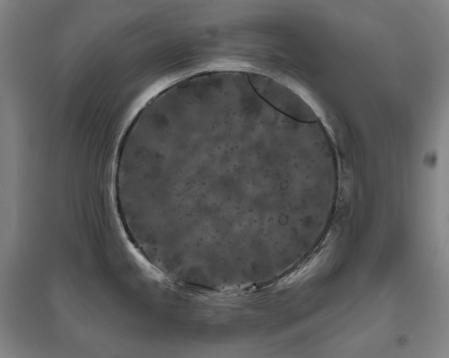 X0000095901245200801111202
