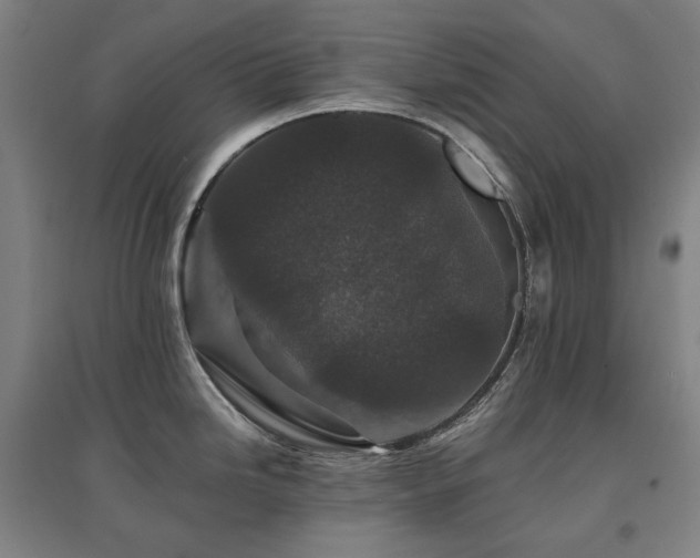 X0000095901246200801111202