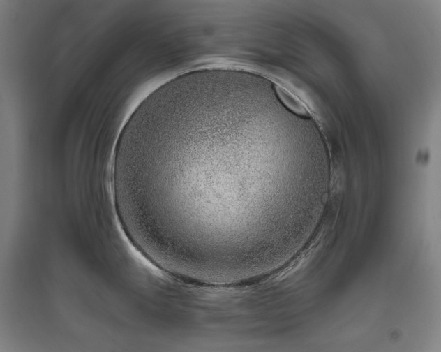 X0000095901247200801111202