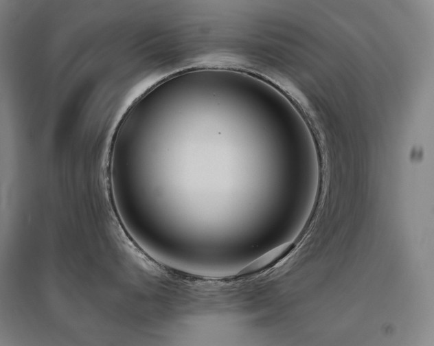 X0000095901248200801111202
