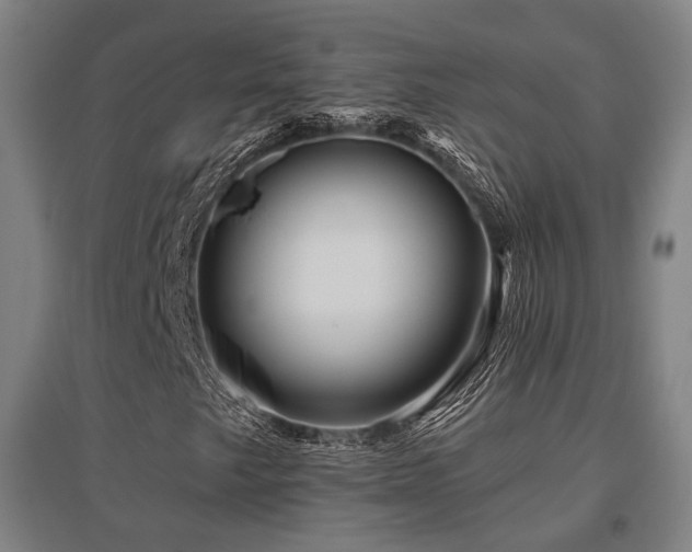 X0000095901249200801111201