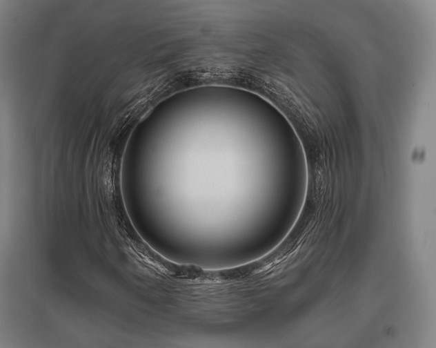 X0000095901250200801111201
