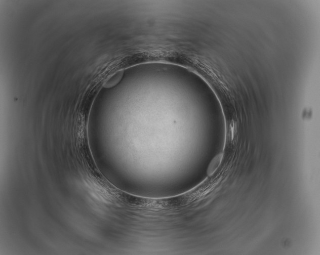 X0000095901251200801111201