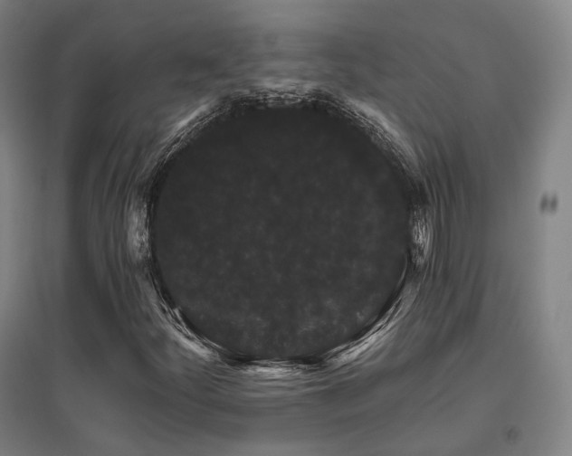 X0000095901252200801111201