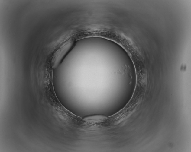 X0000095901253200801111201