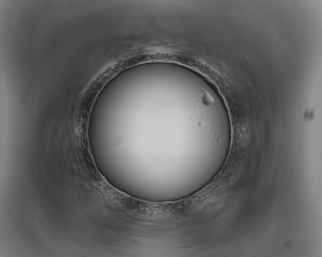 X0000095901254200801111201