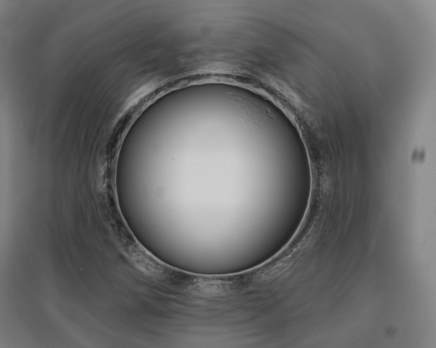 X0000095901258200801111201