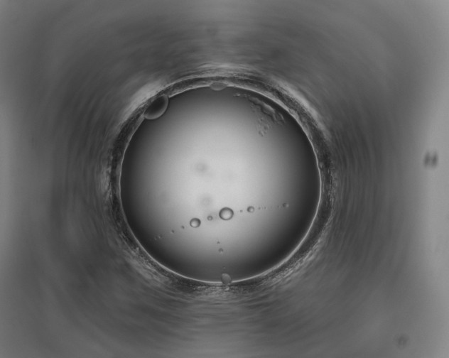 X0000095901259200801111201