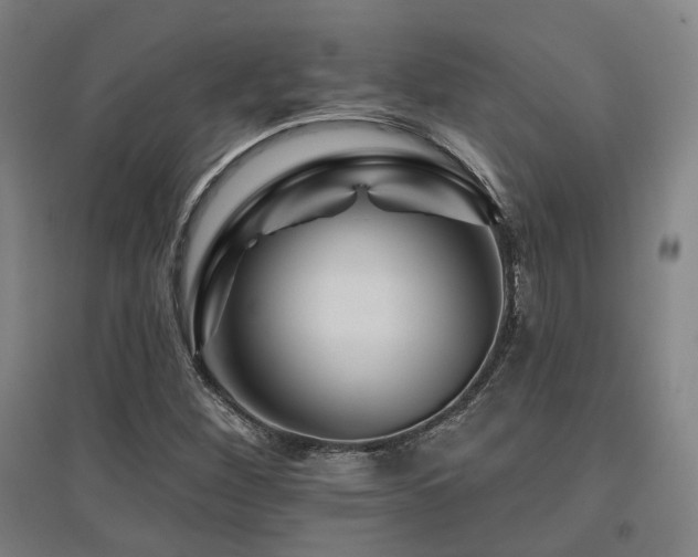X0000095901260200801111201
