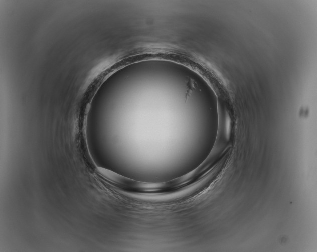 X0000095901261200801111201