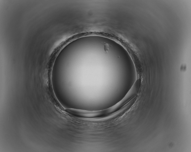 X0000095901262200801111201
