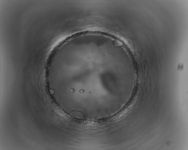 X0000095901263200801111201
