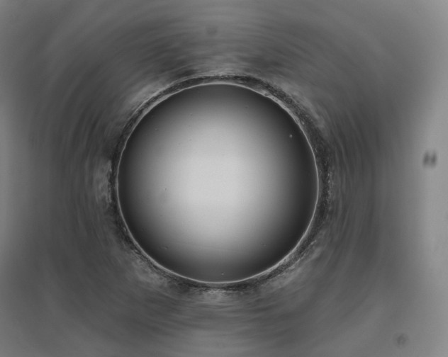 X0000095901265200801111201