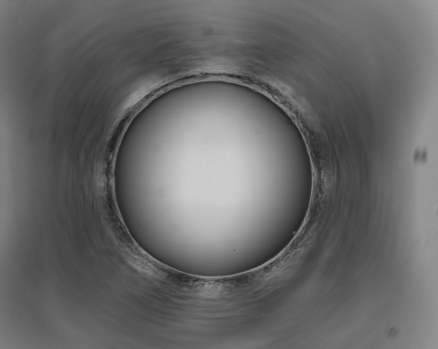 X0000095901266200801111201