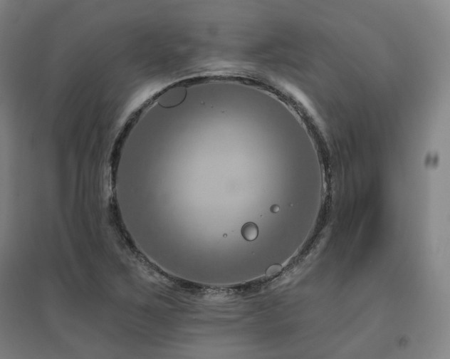 X0000095901267200801111201