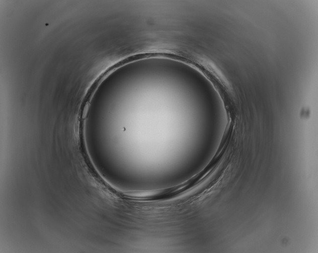 X0000095901268200801111201