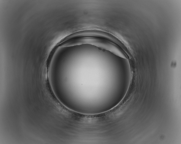 X0000095901269200801111201