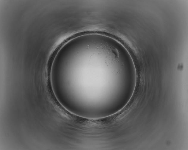 X0000095901270200801111201