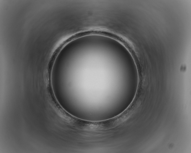 X0000095901271200801111201