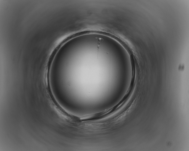 X0000095901272200801111201