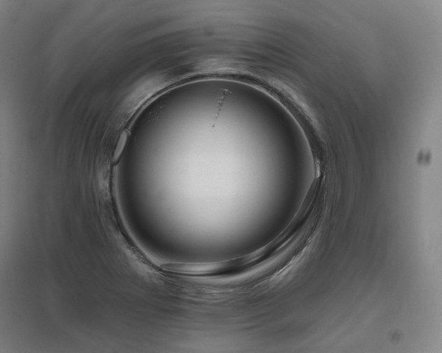X0000095901273200801111201