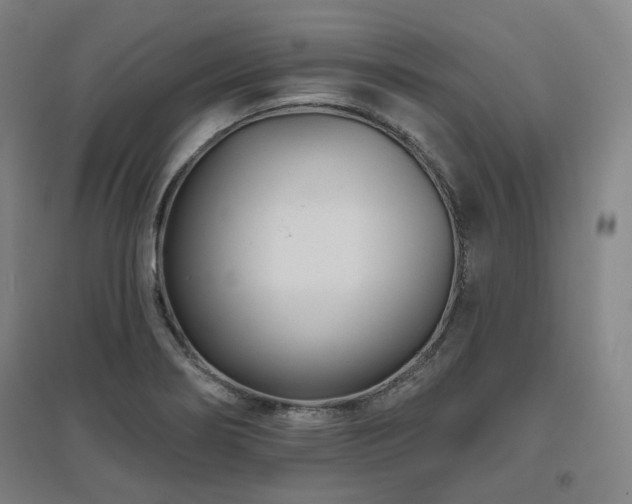 X0000095901274200801111201