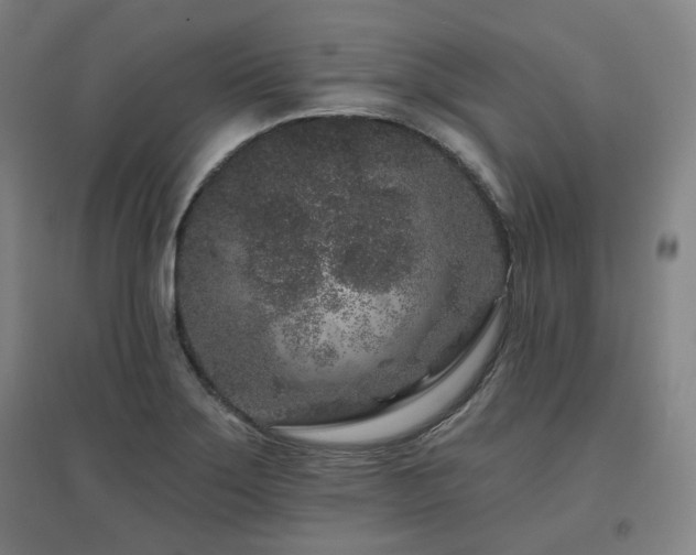 X0000095901275200801111201