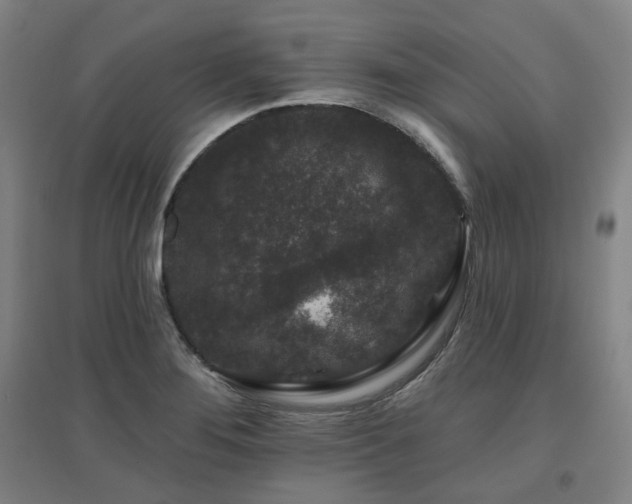 X0000095901276200801111201