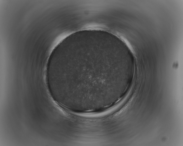 X0000095901277200801111201