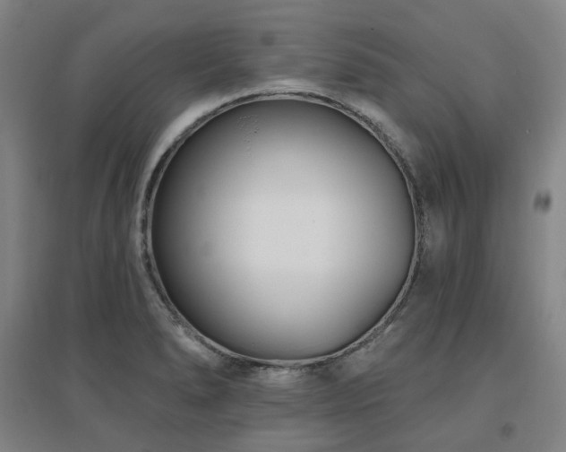 X0000095901278200801111201