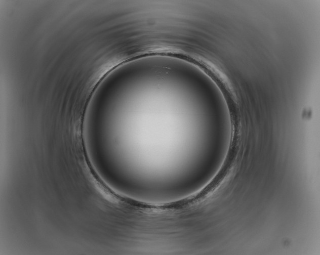 X0000095901281200801111200