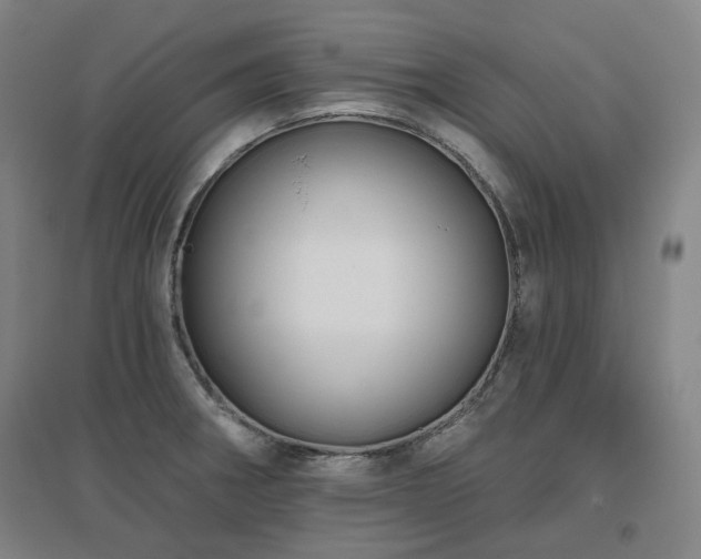 X0000095901282200801111200