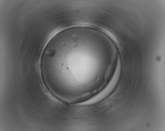 X0000095901283200801111200