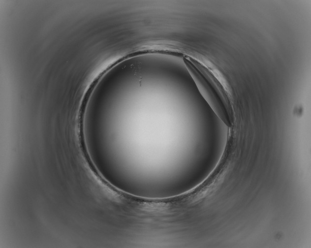X0000095901285200801111200