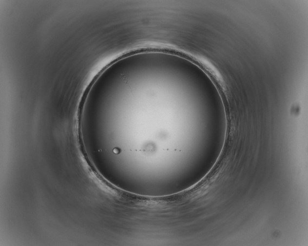 X0000095901287200801111200
