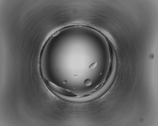 X0000095901288200801111200