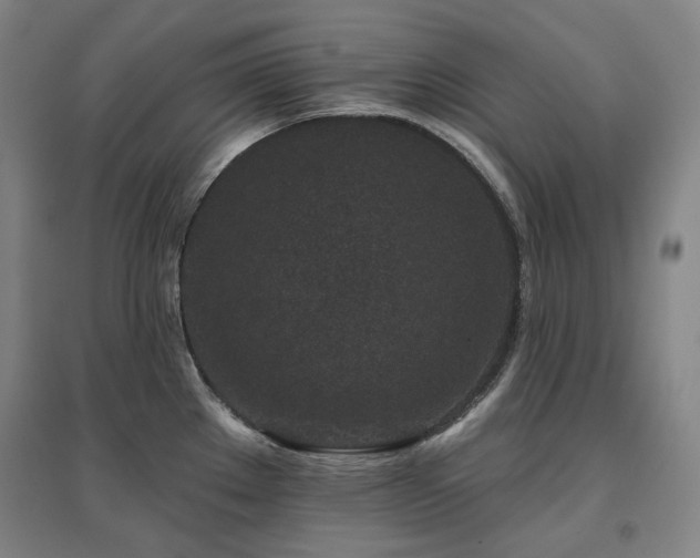 X0000095901289200801111200