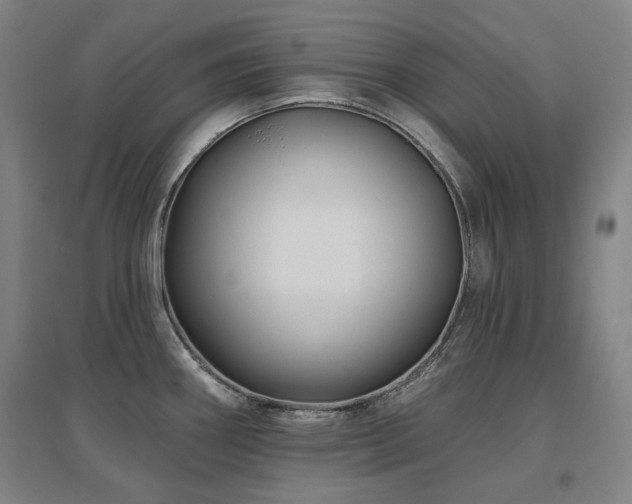 X0000095901290200801111200