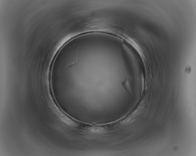 X0000095901291200801111200