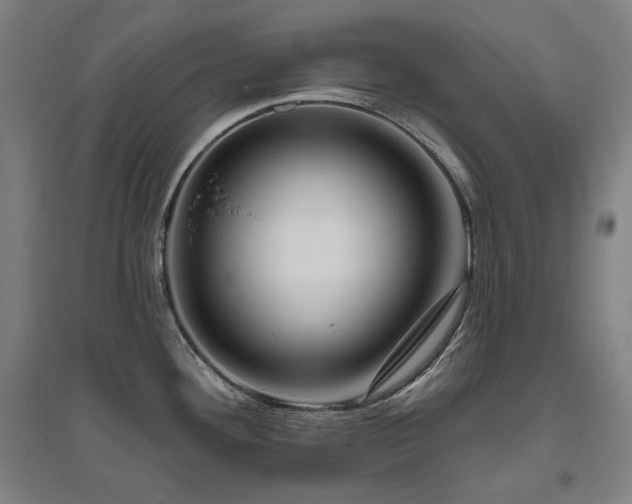 X0000095901292200801111200
